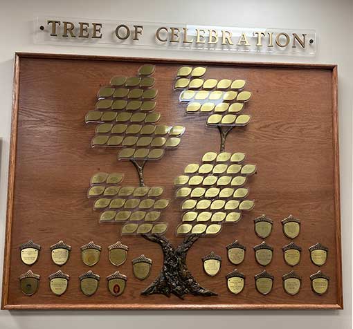 tree-of-life